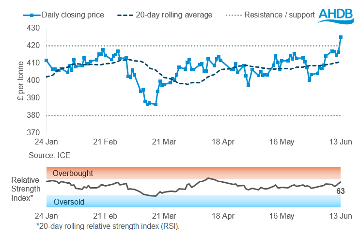 Rapesed new graph 16 06 2025 172_2